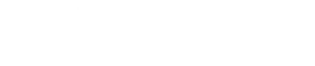 WAN VORA Logo
