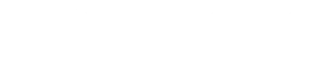 WANVORA New Logo