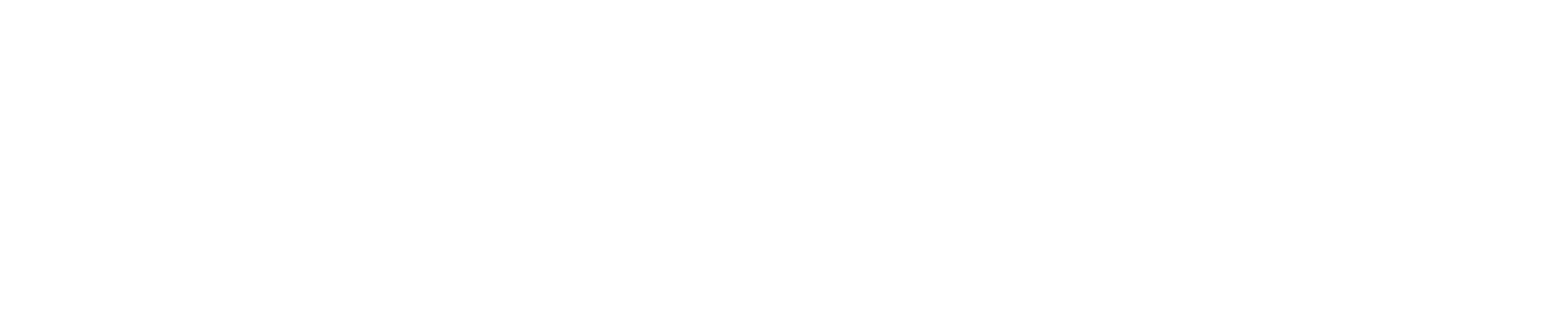 WANVORA New Logo