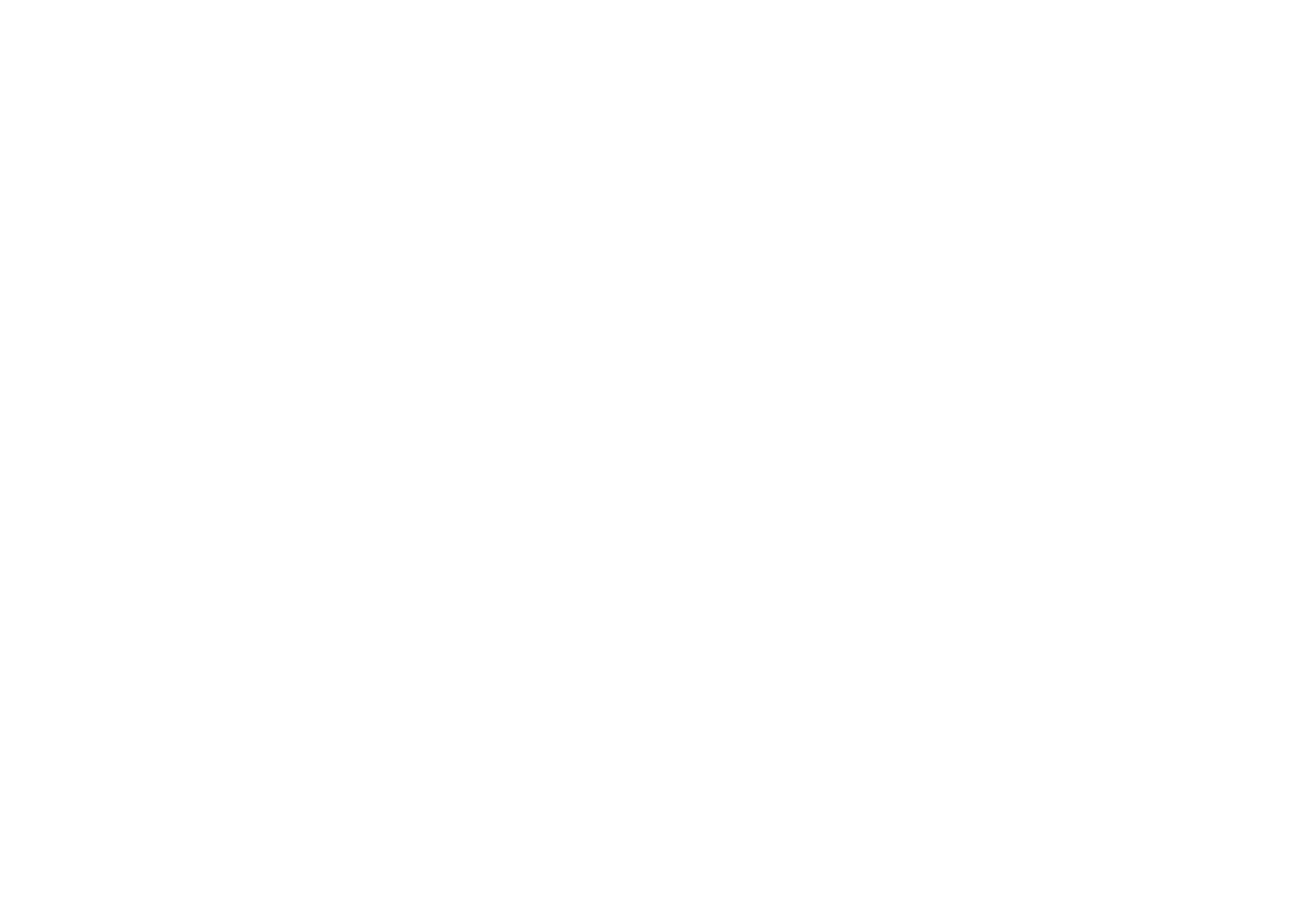 Wan Financial Logo-White